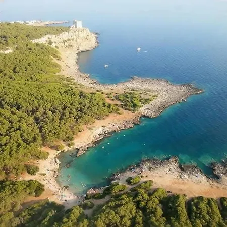 Zia Concetta