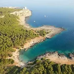Zia Concetta