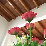 Zia Concetta