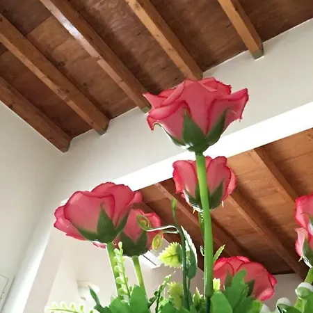Zia Concetta